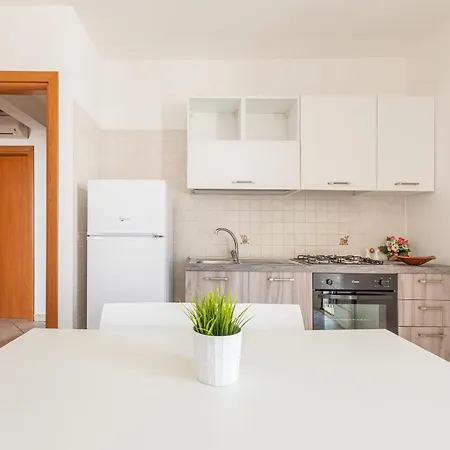 Rosetta By Barbarhouse